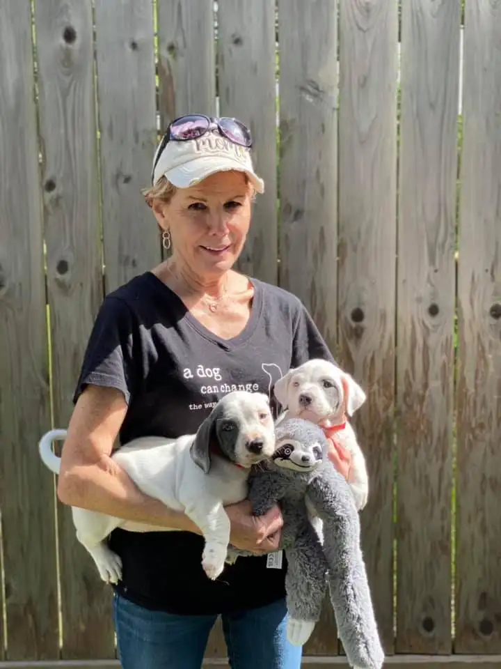 Cathy with dogs7